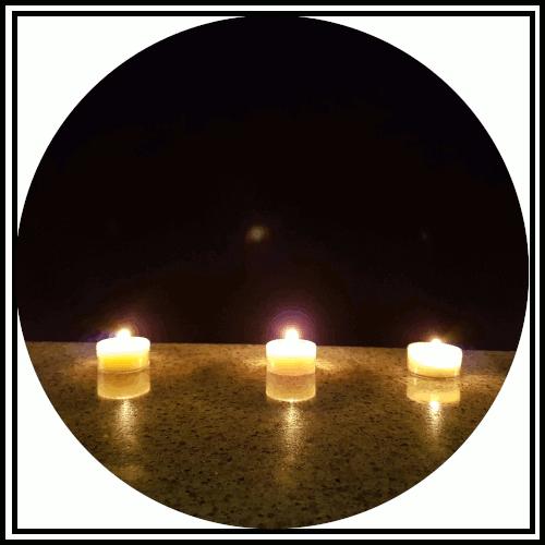Amber Grove - Soy Wax Candles - Tealights