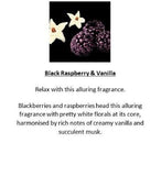 Amber Grove -  Black Raspberry and Vanilla