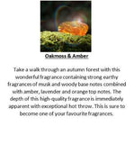 Amber Grove -  Oamoss & Amber Fragrance
