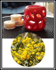 Amber Grove - Scented Soy Wax Tealight Candle - Australian Bush