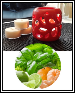 Amber Grove - Scented Soy Wax Tealight Candle - Basil Lime & Mandarin
