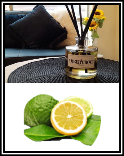 Amber Grove - Reed Diffuser - Bergamot Orange Fragrance