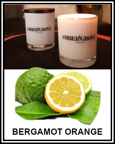 Amber Grove - Scented Soy Wax Candle - Bergamot Orange Fragrance