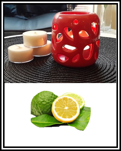 Amber Grove - Scented Soy Wax Tealight Candle - Bergamot Orange