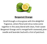Amber Grove -  Bergmot Orange