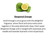 Amber Grove -  Bergamot Orange