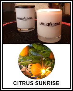 Amber Grove - Scented Soy Wax Candle - Citrus Sunrise Fragrance