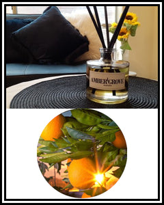 Amber Grove - Reed Diffuser - Citrus Sunrise fragrance
