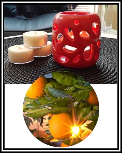 Amber Grove - Scented Soy Wax Tealight Candles - Citrus Sunrise