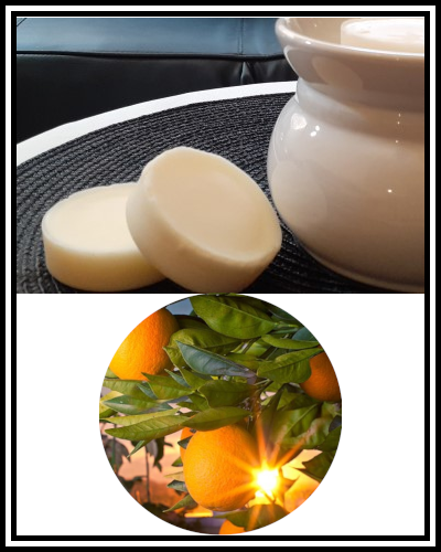 Amber Grove - Scented Soy Wax Wax Melts - Citrus Sunrise Fragrance