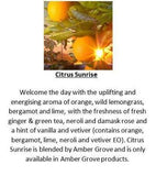 Amber Grove -  Citrus Sunrise Fragrance