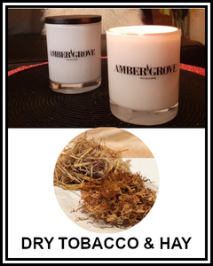 Amber Grove - Scented Soy Wax Candle - Dry Tobacco & Hay Fragrance