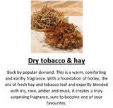 Amber Grove - Dry Tobacco & Hay Fragrance