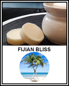 Gifts Actually - Scented Soy Wax Melts - Fijian Bliss