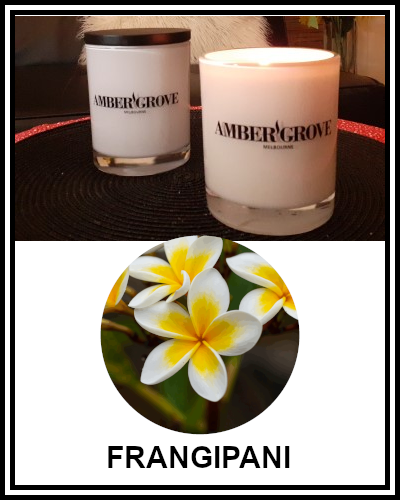 Amber Grove - Scented Soy Wax Candle - Frangipani Fragrance