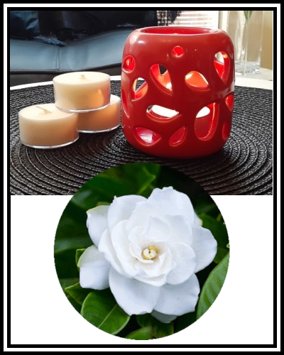 Amber Grove - Scented Soy Wax Tealight Candle - Gardenia