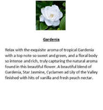Amber Grove -  Gardenia Fragrance