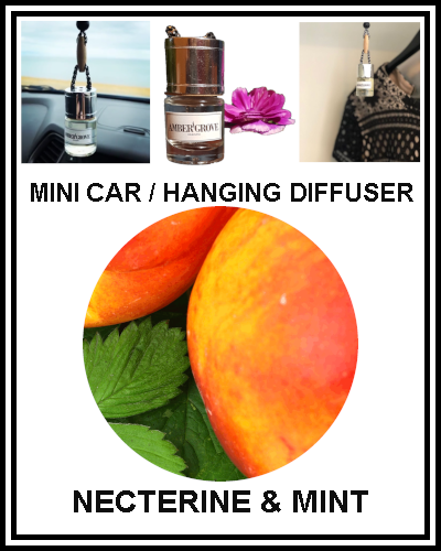 Amber Grove - Mini Car Diffuser - Nectarine and Mint