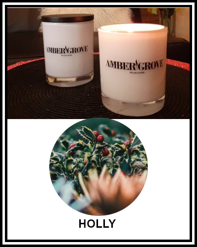Amber Grove - Scented Soy Wax Candle - Holly