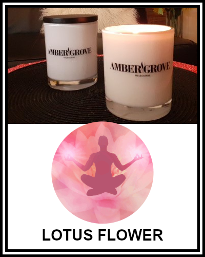 Amber Grove - Scented Soy Wax Candle - Lotus Flower Fragrance