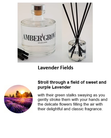 Reed Diffuser - Lavender Fields Fragrance - Amber Grove
