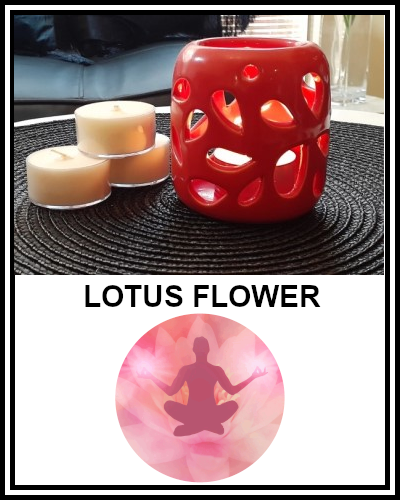 Amber Grove - Scented Soy Wax Tealight Candle - Lotus Flower Fragrance
