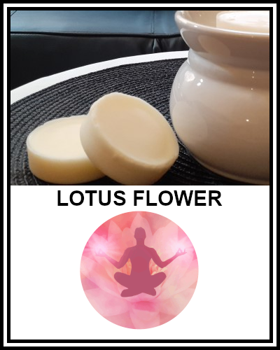 Amber Grove - Scented Soy Wax Melts -Lotus Flower Fragrance