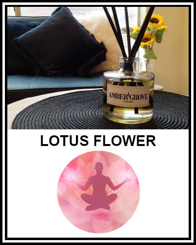 Amber Grove - Reed Diffuser - Lotus Flower Fragrance