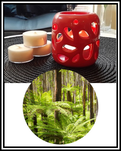 Amber Grove - Scented Soy Wax Tealight Candle - Mt Dandenong Ranges