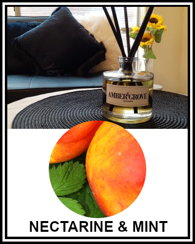 Amber Grove - Reed Diffuser - Nectarine and Mint