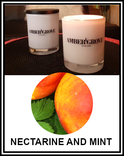 Amber Grove - Scented Soy Wax Candle - Nectarine and Mint