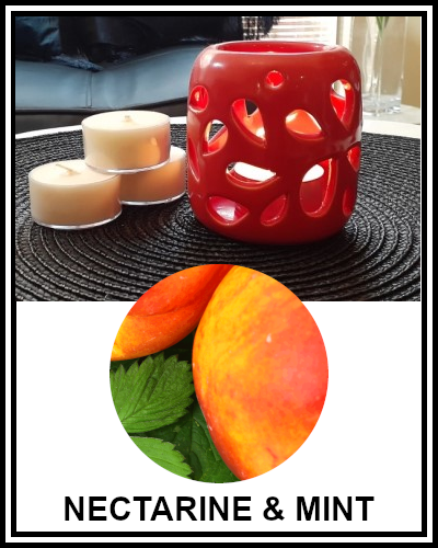 Amber Grove - Scented Soy Wax Tealight Candle - Nectarine and Mint