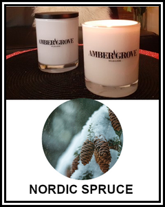 Amber Grove - Scented Soy Wax Candle - Nordic Spruce Fragrance