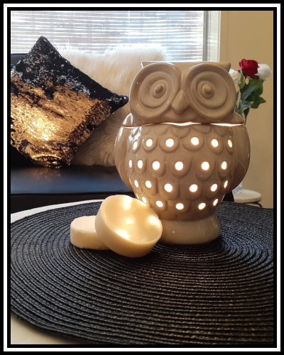 Amber Grove - Electric Scent / wax warmer  (Owl)