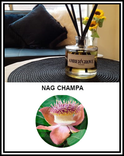 Amber Grove - Reed Diffuser - Nag Champa Fragrance