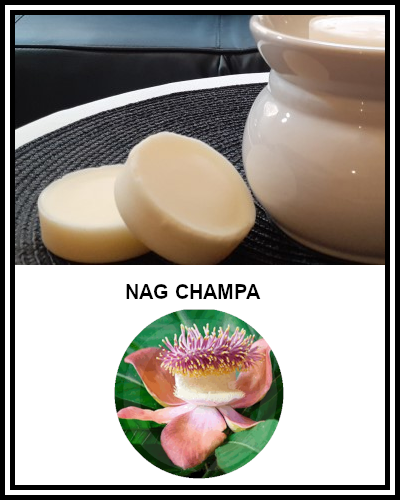 Amber Grove - Scented Soy Wax Melts - Nag Champa Fragrance