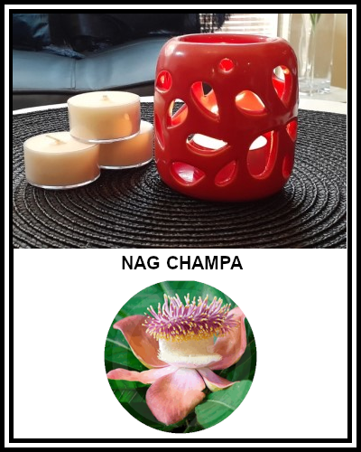 Amber Grove - Scented Soy Wax Tealight Candle - Nag Champa Fragrance