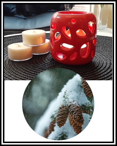Amber Grove - Scented Soy Wax Tealight Candle - Nordic Spruce