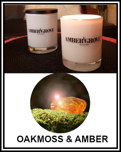 Amber Grove - Scented Soy Wax Candle - Oakmoss and Amber Fragrance