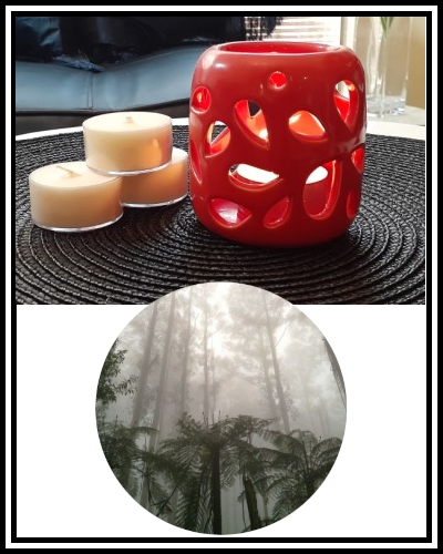 Amber Grove - Scented Soy Wax Tealight Candle - Olinda Mist Fragrance
