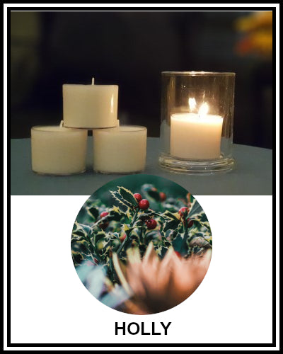 Amber Grove - Scented Soy Wax Spa Cup Tealights - Holly