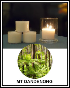 Amber Grove - Scented Soy Wax Spa Cup Tealights - Mt Dandenong
