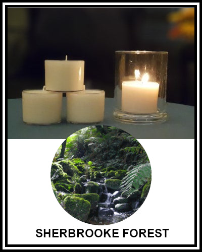 Amber Grove - Scented Soy Wax Spa Cup Tealights - Sherbrooke Forest