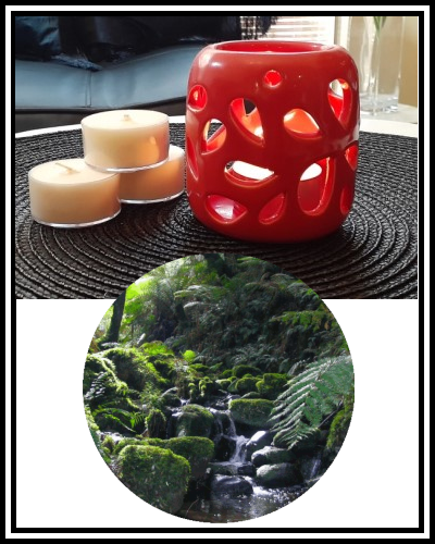 Amber Grove - Scented Soy Wax Tealight Candle - Sherbrooke (Forest)