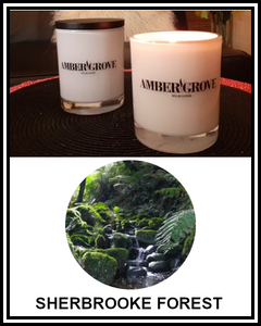 Amber Grove - Scented Soy Wax Candle - Sherbrooke Forest Fragrance