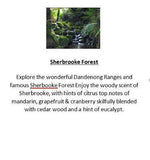 Amber Grove -  Shebrooke (Forest) Fragrance