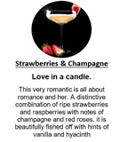 Amber Grove -  Strawberries & Champagne Fragrance