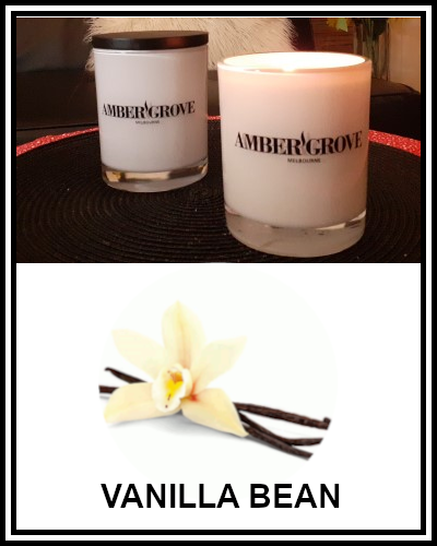 Amber Grove - Scented Soy Wax Candle - Vanilla Bean Fragrance