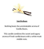 Amber Grove -  Vanilla Bean Fragrance