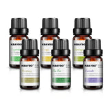 Aromatherapy - Essential Oils - Pack of 6 (Pack of 6) - Amber Grove
